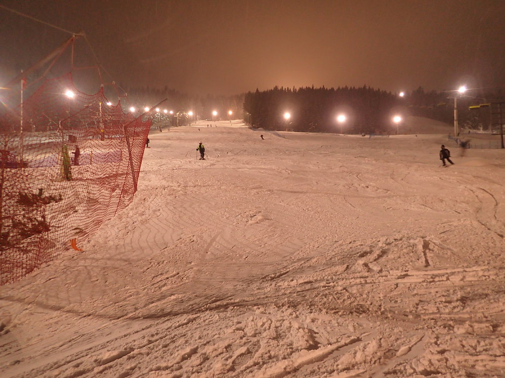 P1134274.JPG