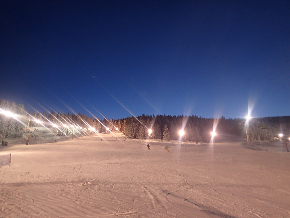 P1194455.JPG