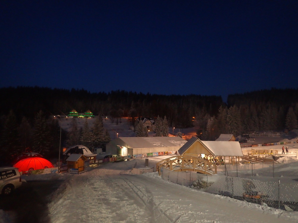 P1194457.JPG