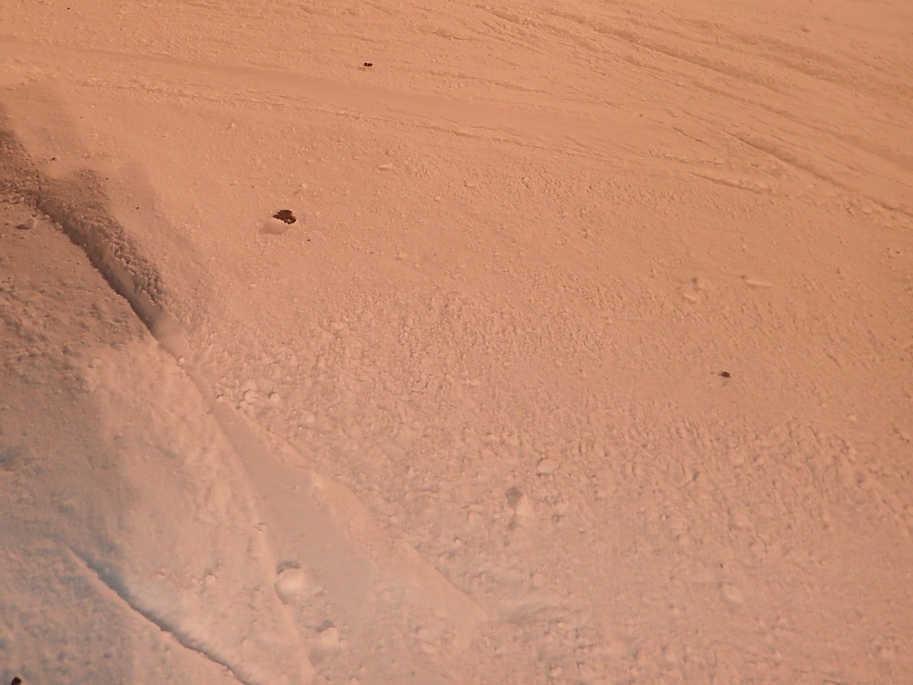 P1194522.JPG