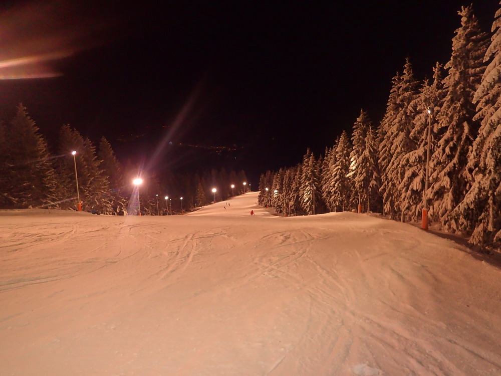 P1194547.JPG