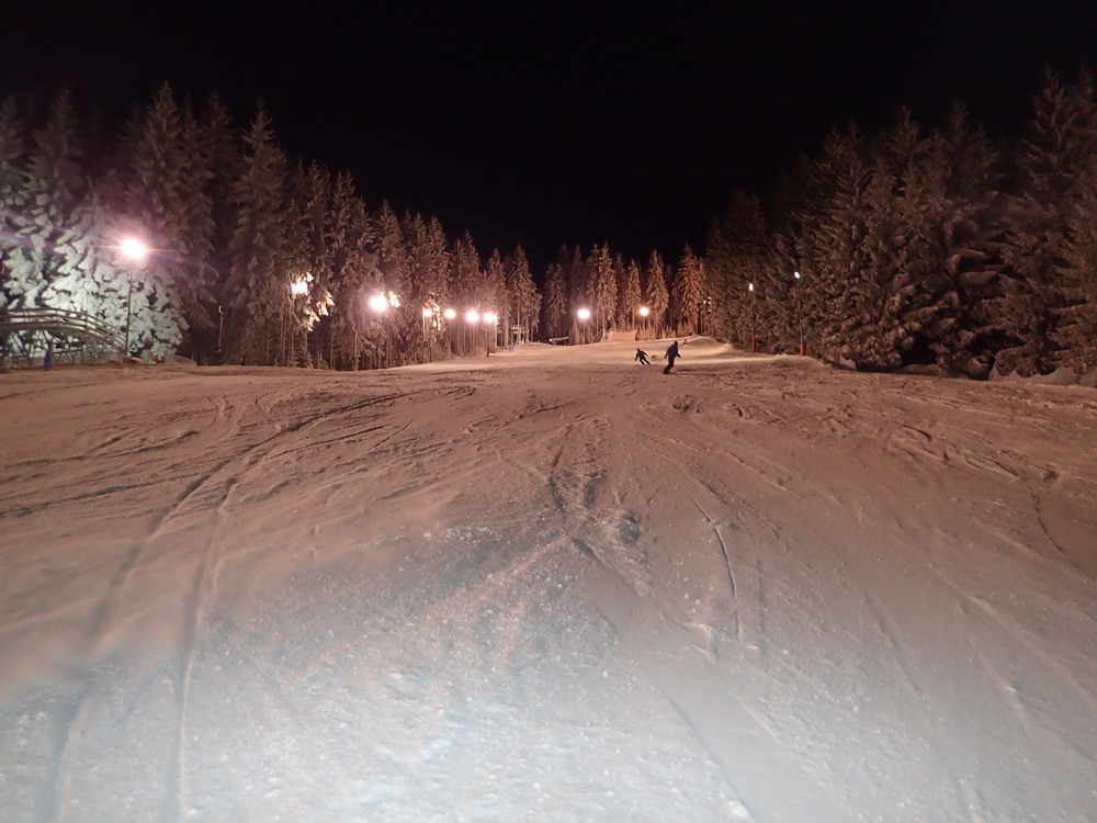 P1194609.JPG