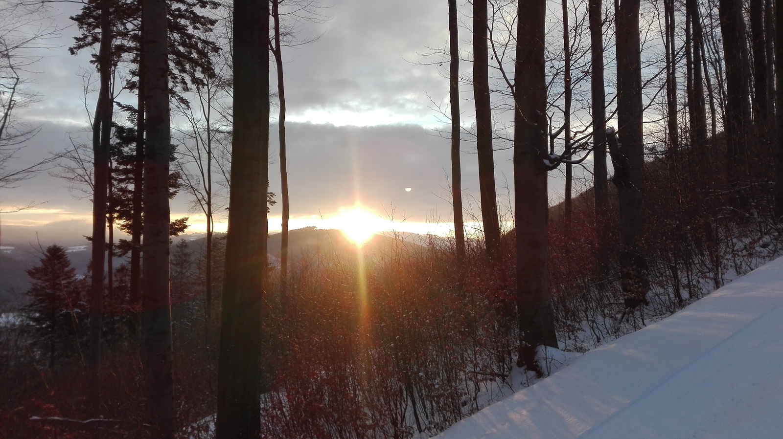 large.IMG_20170103_080719.jpg