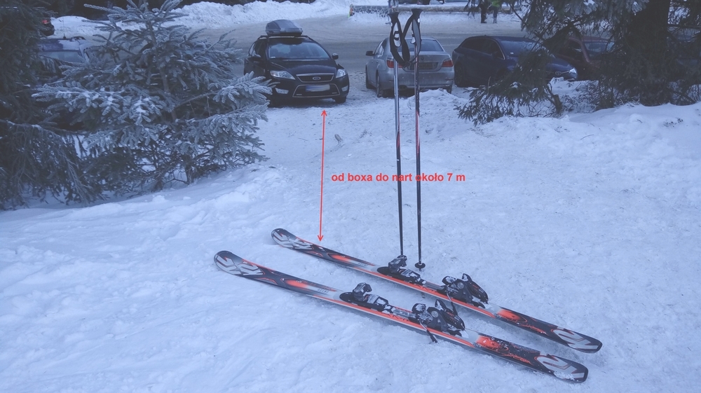 park.jpg