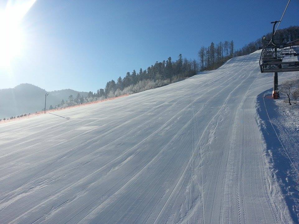 16736335_1489297481110946_1296145344_n.jpg.db2d06d5da56ed2d7c8f1cf0ca094c1c.jpg