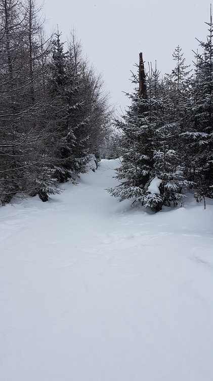 20170201_115105.jpg