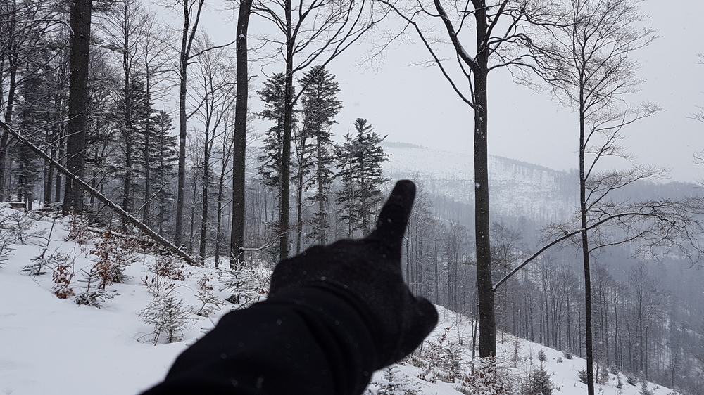 20170201_120726.jpg