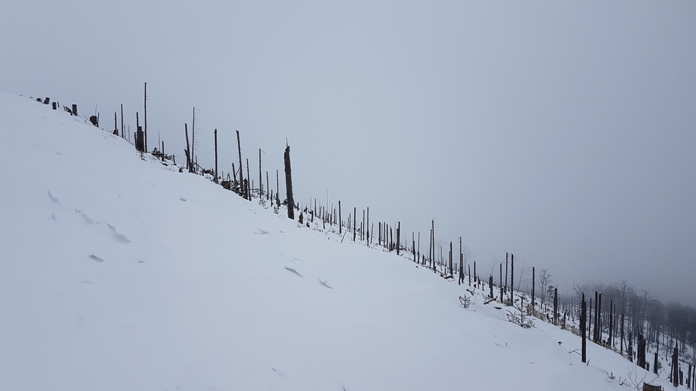 20170201_125857.jpg