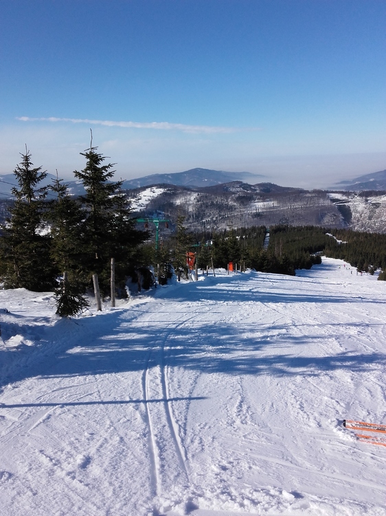 20170203_122949.jpg