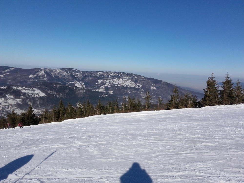 20170203_123002.jpg