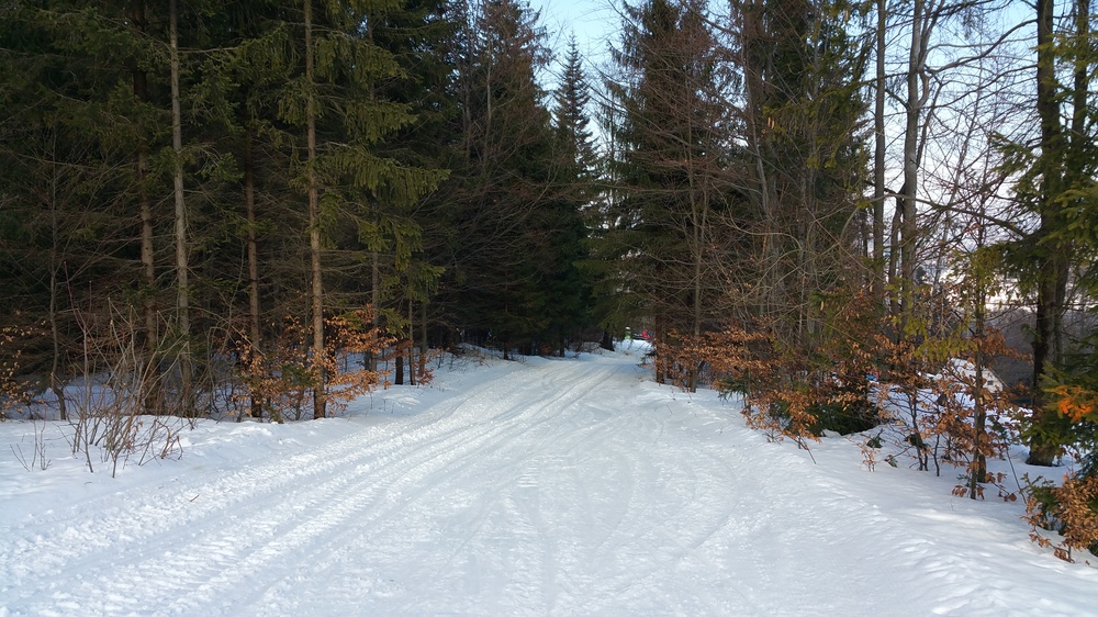 20170204_124911.jpg