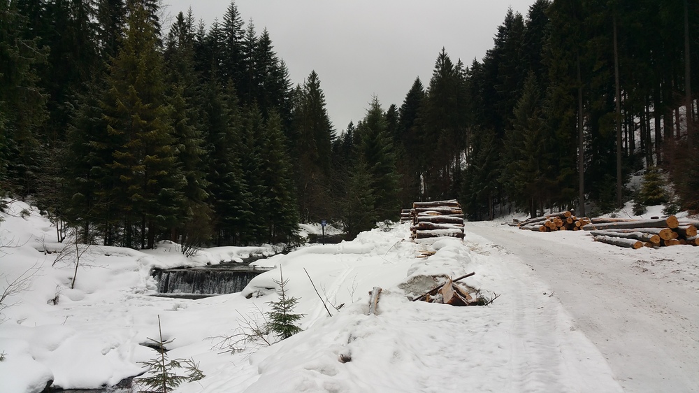20170205_083754.jpg