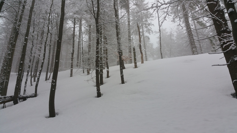 20170205_140631.jpg
