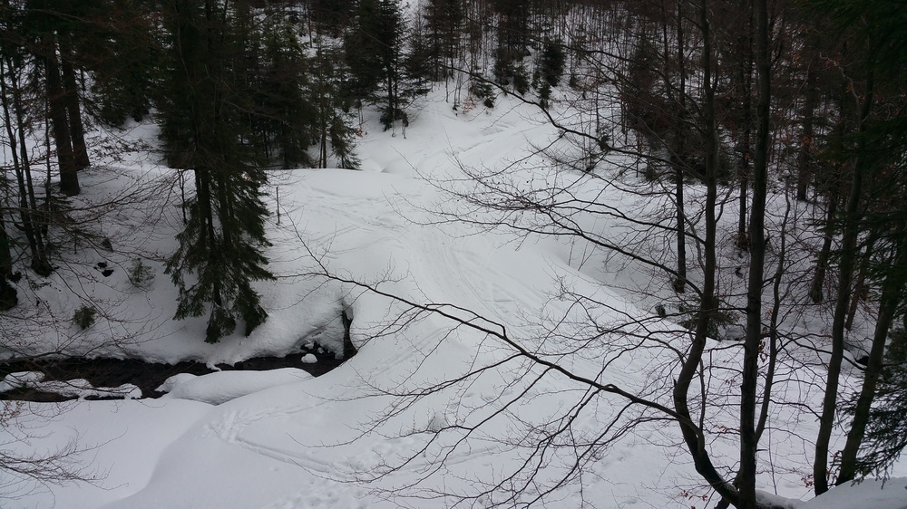 20170205_142409.jpg