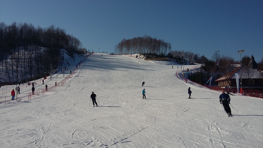 20170210_115403.jpg