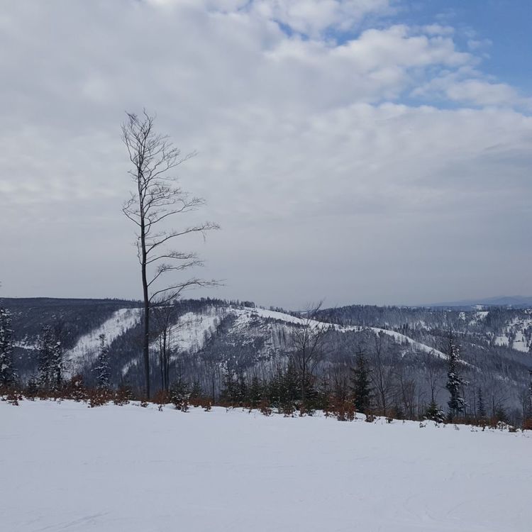 20170211_100347.thumb.jpg.e114981fae3877eb61e35cbe0242aaae.jpg