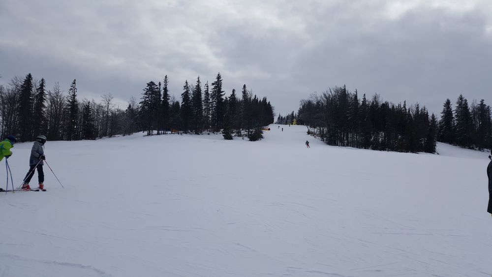 20170211_100402.jpg.f46dfe2eeec13c3302311fd04a625945.jpg