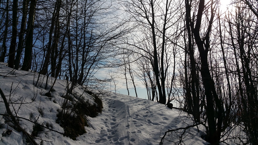 20170211_124640.jpg