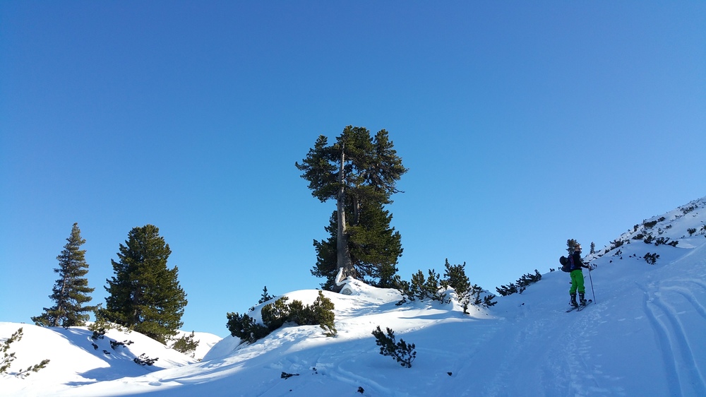 20170214_142008.jpg