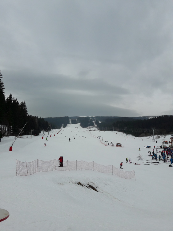 20170217_135915.thumb.jpg.516f3e18aa7f1c7904d8661137a7053c.jpg