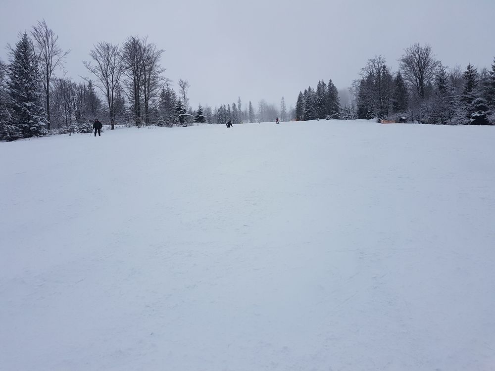 20170218_114850.jpg