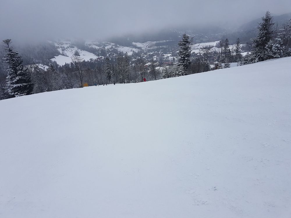 20170218_114910.jpg