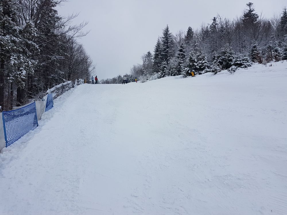 20170218_115028.jpg