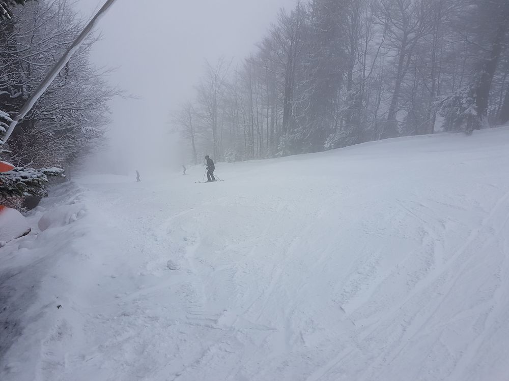 20170218_121316.jpg
