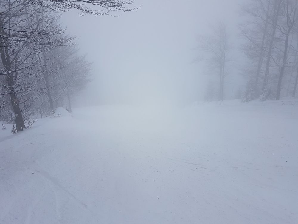 20170218_121506.jpg
