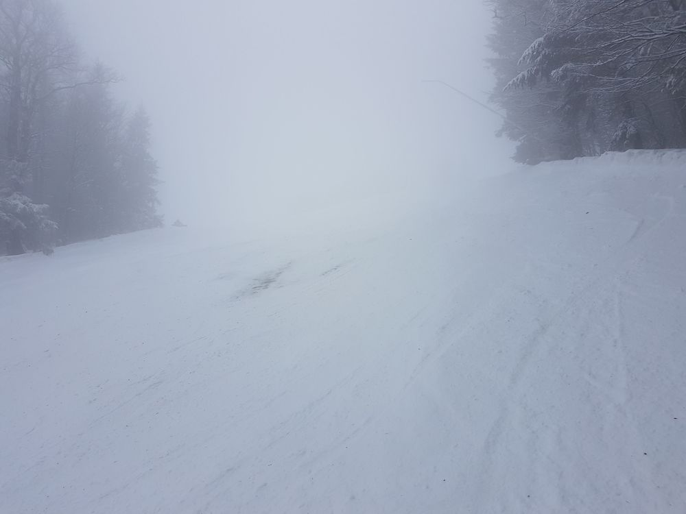 20170218_121518.jpg