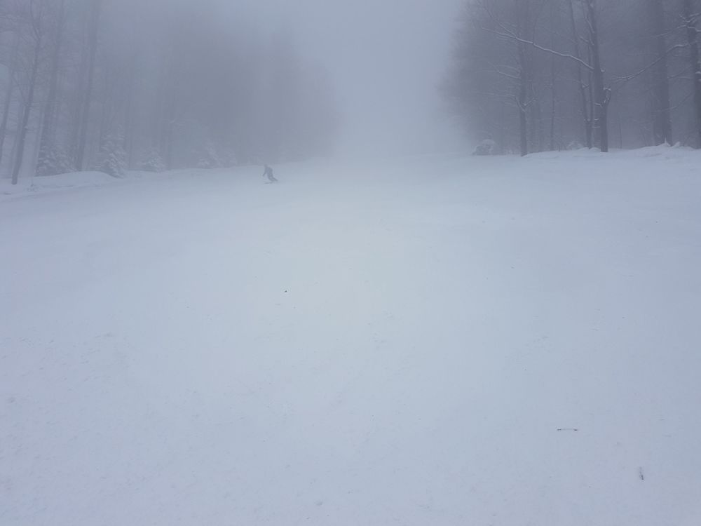 20170218_121621.jpg
