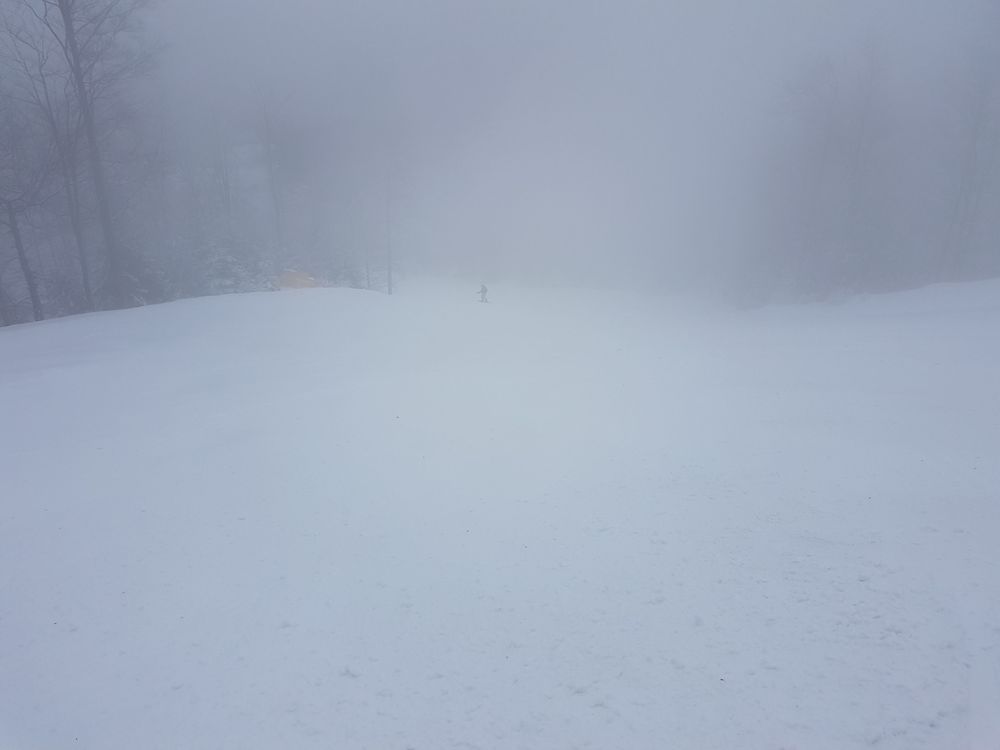 20170218_121624.jpg