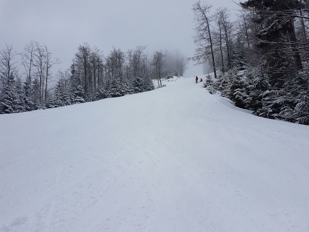 20170218_121842.jpg
