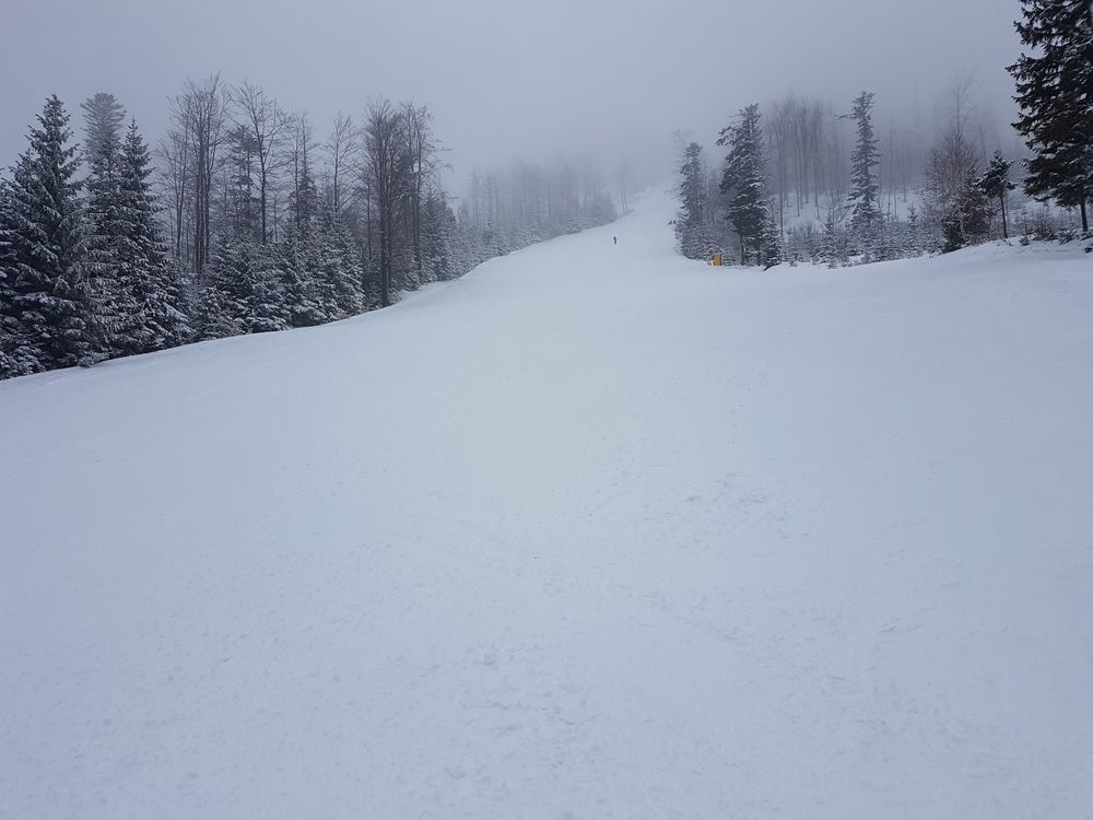 20170218_122117.jpg