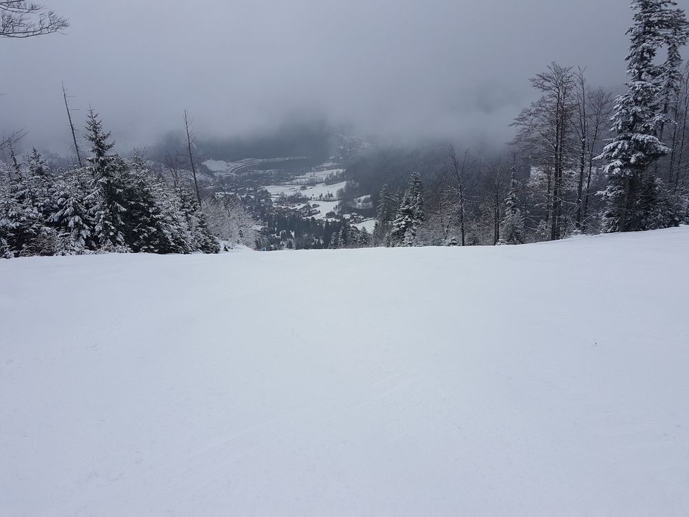 20170218_122125.jpg