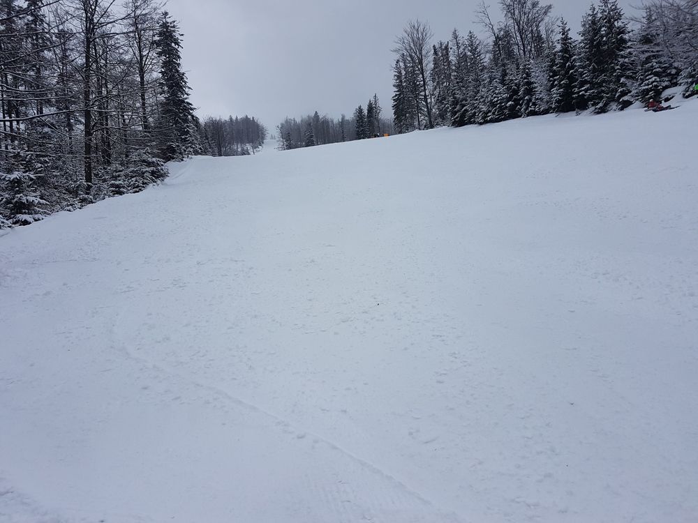 20170218_122509.jpg