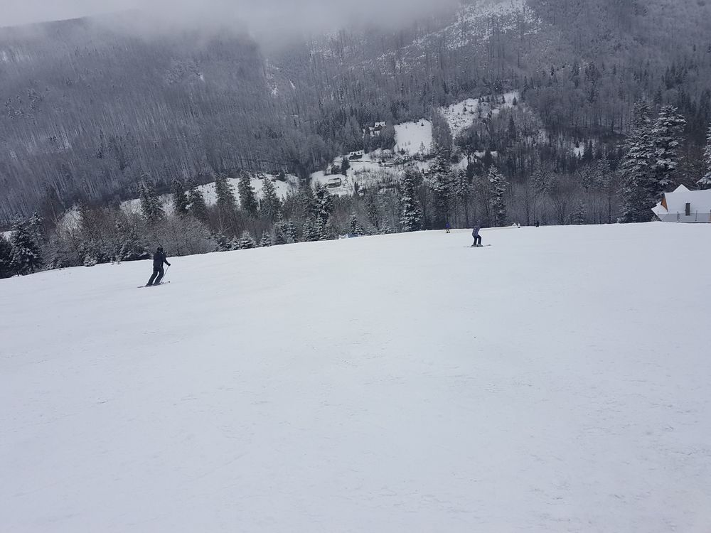 20170218_124552.jpg