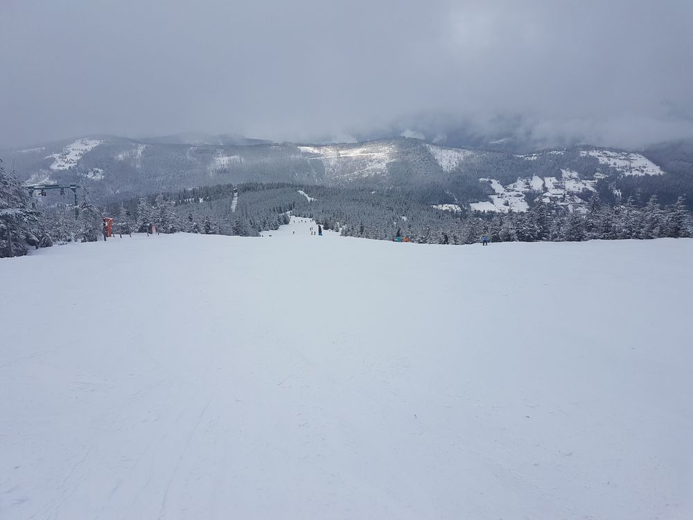 20170218_143639.jpg