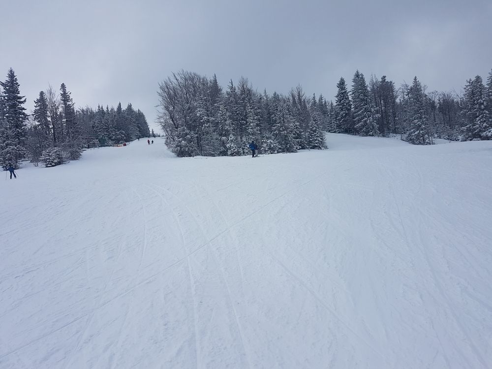 20170218_144010.jpg