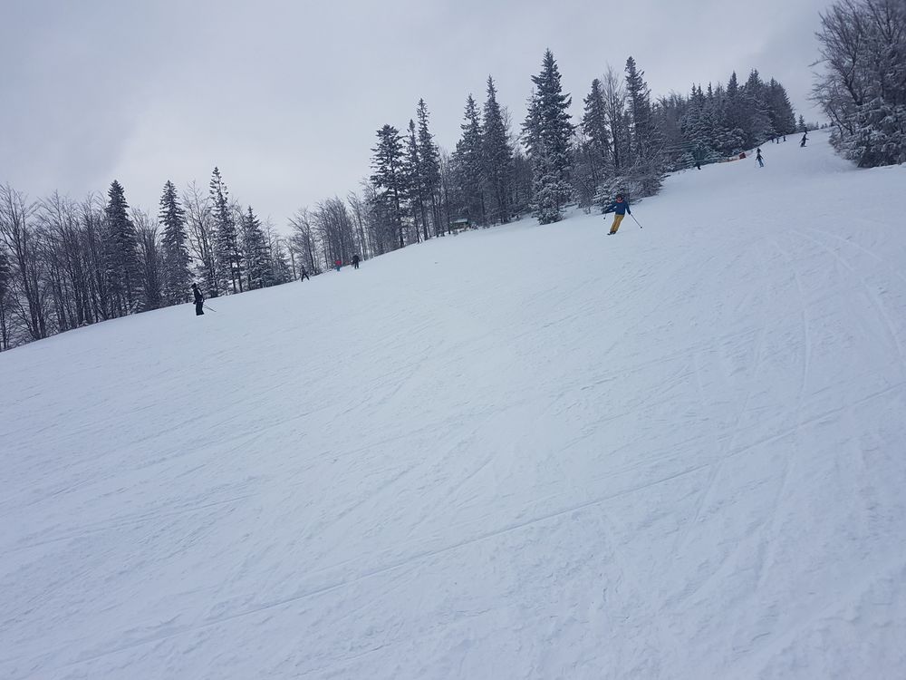 20170218_144110.jpg