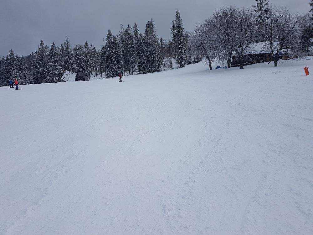 20170218_144126.jpg