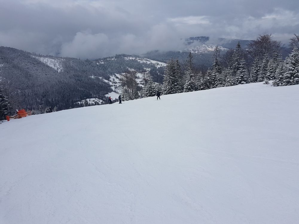 20170218_144130.jpg