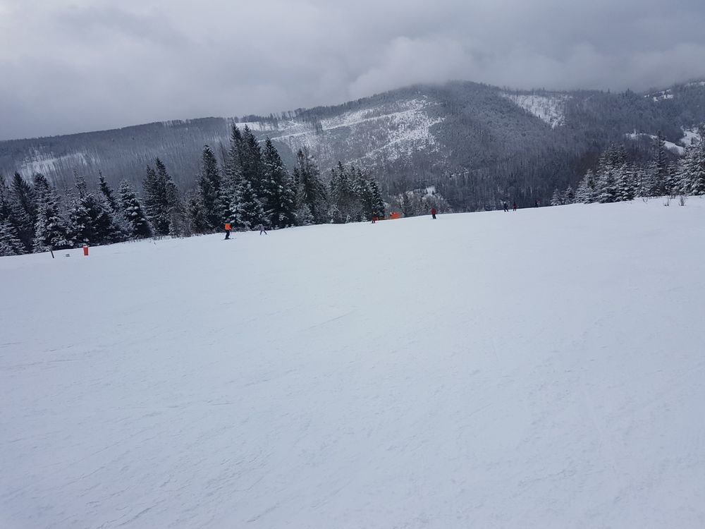 20170218_145744.jpg