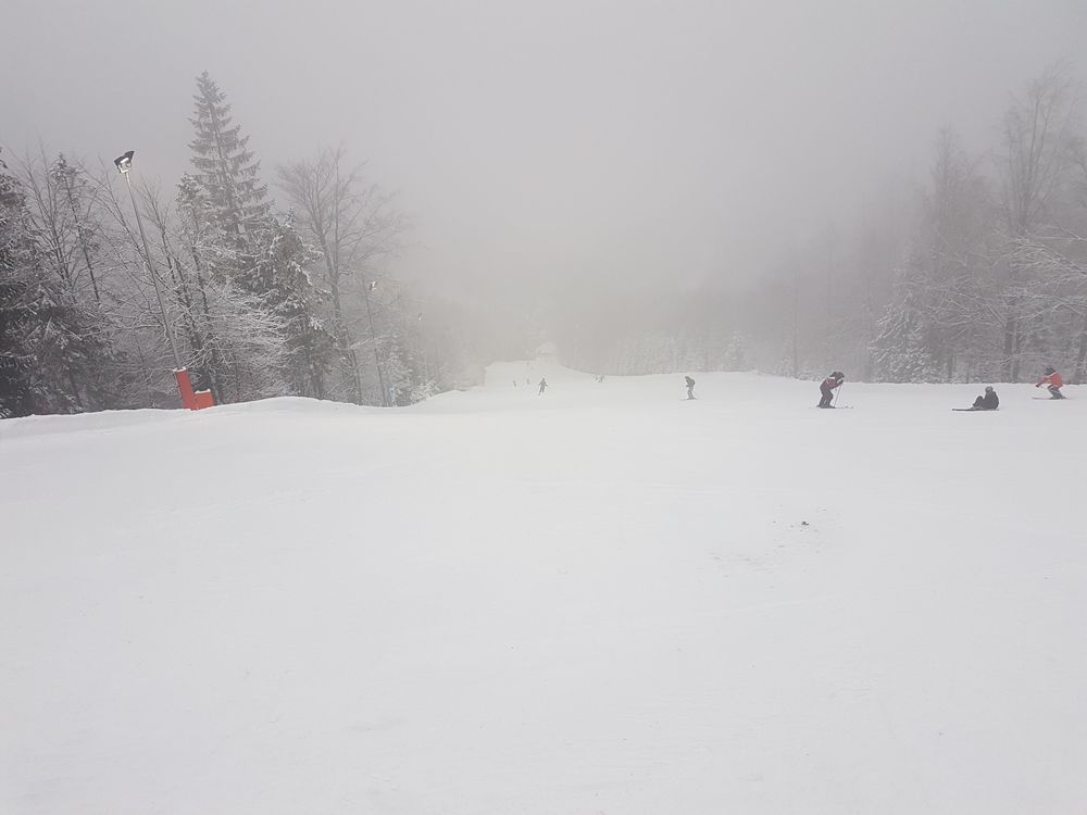 20170218_163950.jpg