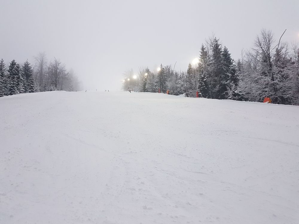 20170218_165215.jpg