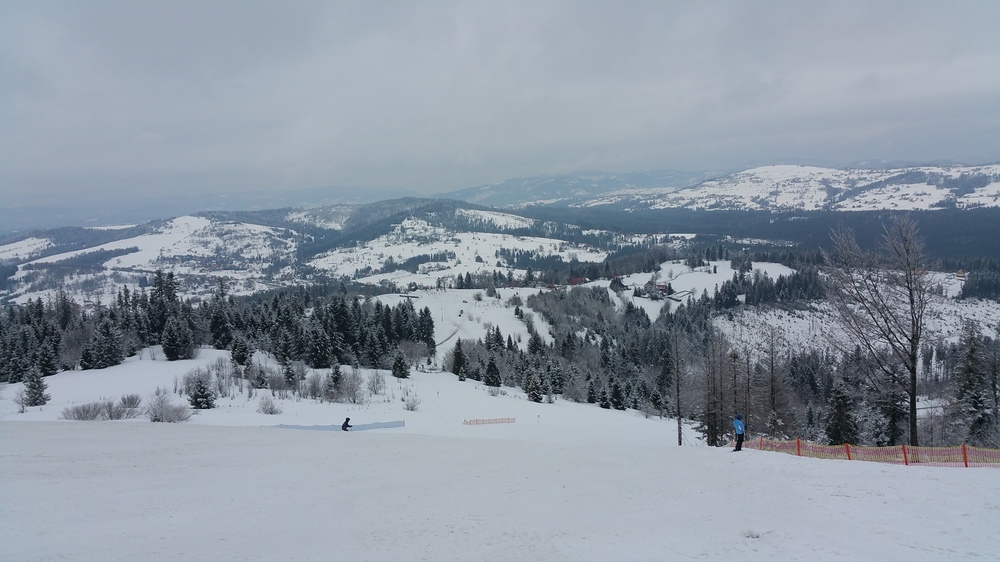 20170219_113459.jpg