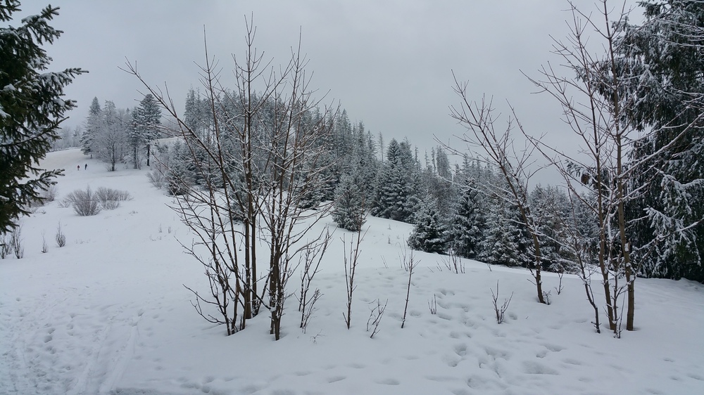 20170219_125601.jpg