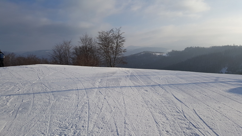 20170220_082834.jpg