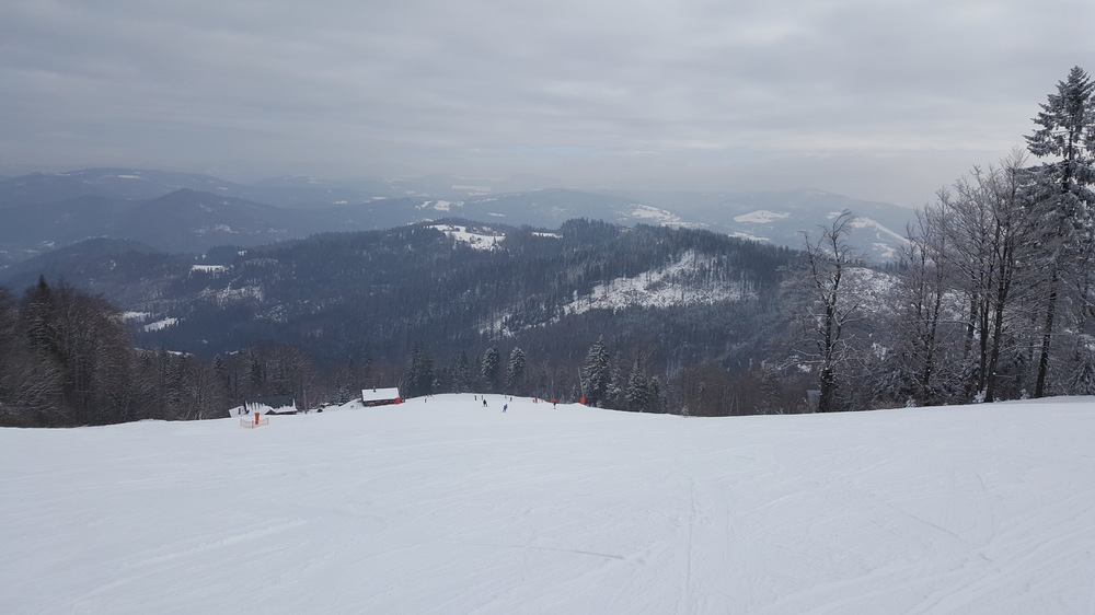 20170220_103405.jpg