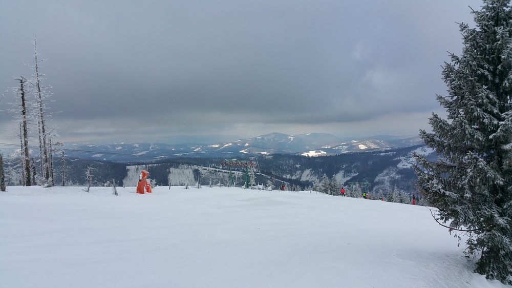 20170225_110753.jpg
